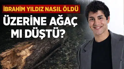 İbrahim Yıldız Nasıl Öldü? Üzerine Ağaç mı Düştü?