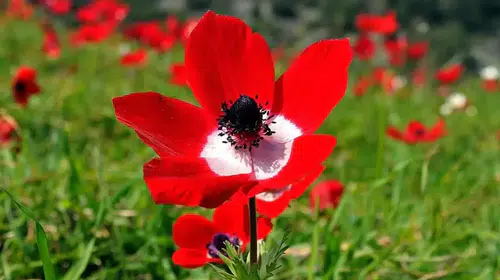 3. cemre düşme tarihi 2026! Üçüncü cemre ne zaman düşecek, toprağa ne zaman düşer?