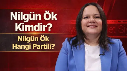 Nilgün Ök Kimdir, Hangi Partili?