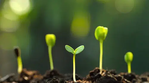 Cemre Düşme Günleri 2026 | İlk Cemre Ne Zaman Düşecek? Cemreler Havaya, Suya ve Toprağa Hangi Tarihlerde Düşer?