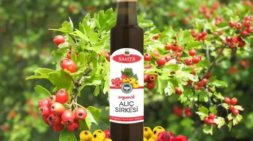 Alıç Sirkesi Yapımında Adım Adım Ümit Aktaş'ın Kolay Yöntemi!