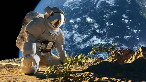 Ay’da Tarım Gerçek Olabilir Mi? Bilim İnsanları Patatesle Uzayda Gıda Üretimi İçin Umut Verici Sonuçlar Elde Etti