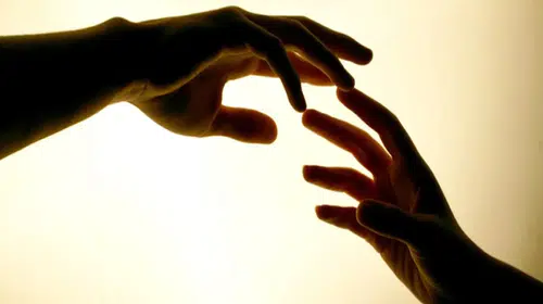 Nilvak Nedir, ne iş yapar? Bozbey'in vakfı hangisi? Nilüfer Vakfı ne zaman ne için kuruldu