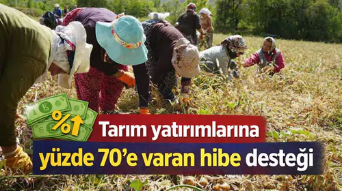 Tarım yatırımlarına yüzde 70'e varan hibe desteği