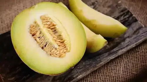 Dünya'nın En Değerli Kavunu: Eşsiz Yetiştirme Teknikleriyle Tanışın!