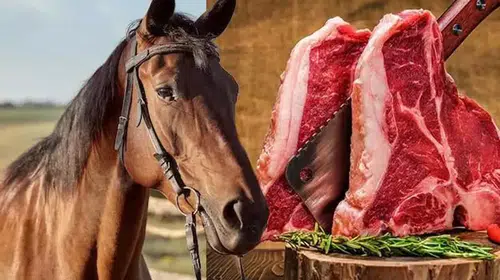 İzmir'deki Meşhur Dönerci'den Şok Eden At Eti Çıktı! Skandal Ortaya Çıktı!