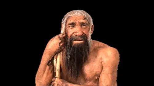 Neandertallerin Kaderi Zekalarında Değil: Genetik Bir Yutulma mı Yaşadılar?