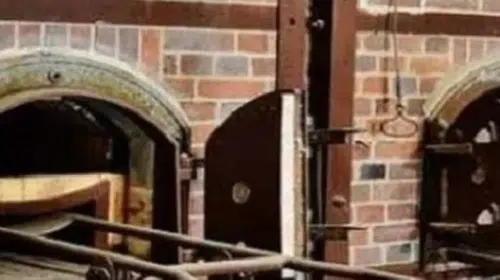 Hayvanat bahçesinde korkunç itiraf: Eşini yakma ünitesinde yok etti