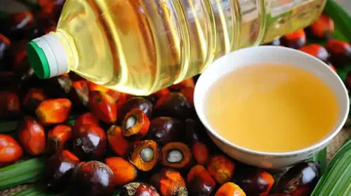 Palm Yağı ve Soya Yağı Fiyatlarında Rekor Artış: İşte Nedenleri ve Güncel Değerler