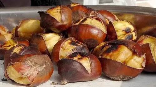 Kestane Saklama Yöntemleri: Uzun Süre Taze Kalması İçin İpuçları!