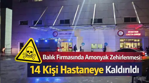 Balık Firmasında Amonyak Zehirlenmesi: 14 Kişi Hastaneye Kaldırıldı
