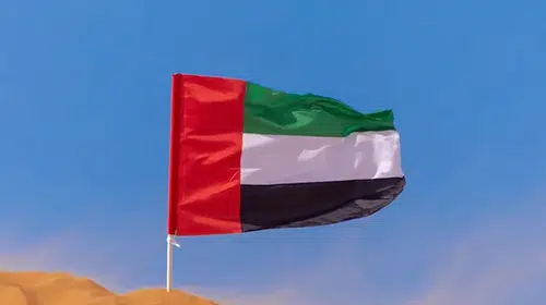 Bakanlık Açıklaması: 9 Balistik Füze, 1 Seyir Füzesi ve 50 İHA İmha Edildi!