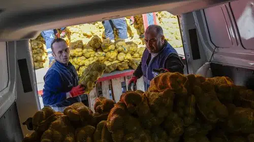 Büyükşehir Belediyesi, 60 Bin Aileye Patates Yardımını Başlattı!