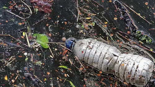 Sıfır Atık Projesi, Uluslararası Arenada 7 Ödül Kazandı!