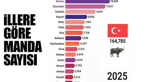 Manda Haritası Yayınlandı: Zirvede Beklenmedik İl Dikkat Çekti!