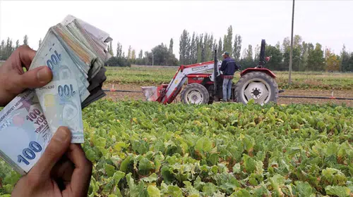 TÜİK, Üç İlde Ekonomik Büyüme Raporunu Yayınladı!