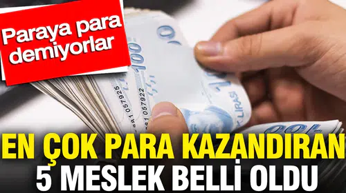 Geleceğin kariyer haritası şekillendi: İşte servet değerinde maaş sunacak meslek grupları