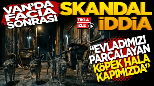 Van’da korkunç olay: Acılı aileden 'tehdit hala sokakta' isyanı