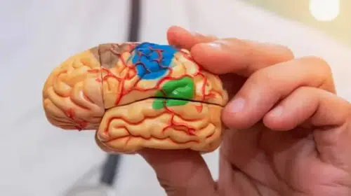 Koltukta geçirilen zamanın kalitesi beyninizi şekillendiriyor: Televizyon yerine kitap tercih edin