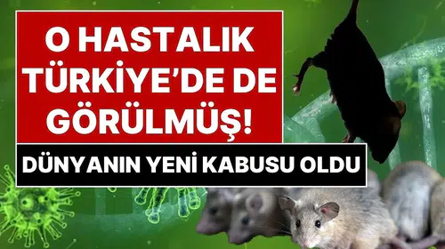 Denizlerin ortasında kabusa dönüşen yolculuk: Hantavirüs paniği sınırları aştı