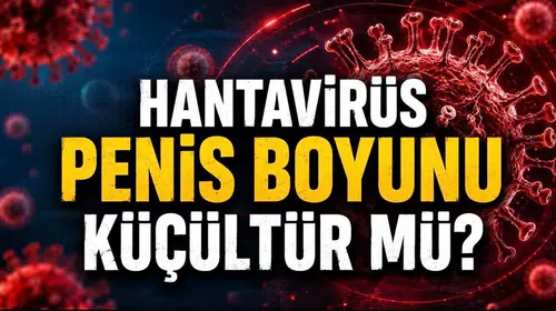 İnternet dünyasının asılsız sağlık efsanelerine bir yenisi daha eklendi: Hantavirüs ve genital organlar üzerine dolaşıma sokulan iddialar gerçeği yansıtıyor mu?