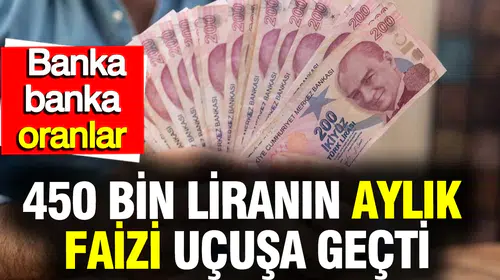 Parasını mevduatta değerlendirecekler için kritik liste: 450 bin TL'yi bankaya yatırana ne kadar ödeniyor?