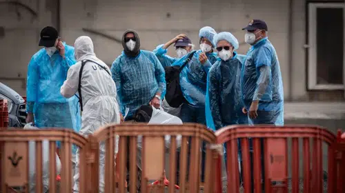 Avrupa'da alarm zilleri çalıyor: Hantavirüs takibi için kritik karar
