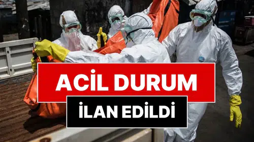 Hantavirüs korkusu gölgesinde Afrika'dan gelen vahim haber: Ebola alarmı verildi