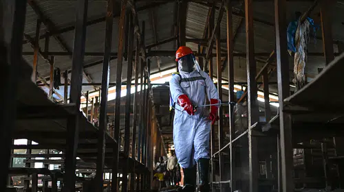 KDC'de Ebola alarmı: Avrupa Birliği ve UNICEF'ten acil lojistik hamlesi