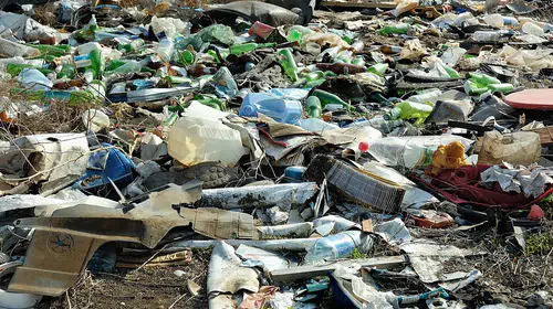 Ushuaia'da Hantavirüs krizi: Gemideki salgının izi çöp sahasına mı uzanıyor?