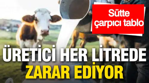 Süt üreticisinin acı reçetesi: Maliyetler uçtu, fiyatlar yerinde sayıyor