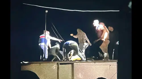 Ceylanpınar’da Yürek Yakan Kayıp: 5 Yaşındaki Miraç’tan Gelen Acı Haber