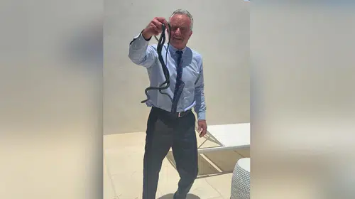 Mehmet Öz'ün bahçesinde sıra dışı anlar: Bakan Kennedy yılanlara çıplak elle müdahale etti