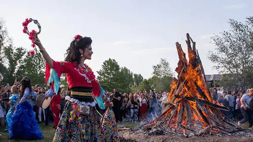 Baharın müjdecisi kapıda: Dilekleriniz bu yıl da gül ağacının altına emanet
