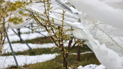 Meteorolojiden "yaz kapıda" müjdesi: Kar yerini bunaltıcı sıcaklara bırakıyor