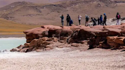 Atacama Çölünde yarım asrı aşan sessizlik çiçeklerle bozuldu