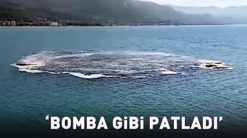Kastamonu kıyılarında deniz hareketliliği alarm verdi