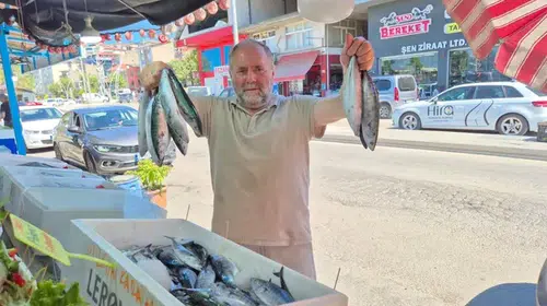 Karadeniz kıyılarında palamut sezonu hızlı başladı