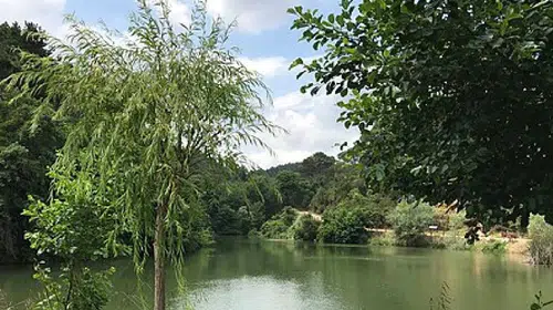 İstanbulda şiddetli rüzgar nedeniyle yeşil alanlar ziyarete kapatıldı