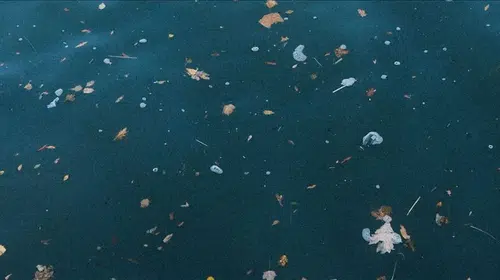 Akdenizdeki plastik kirliliğinin ana sorumlusu nehirler