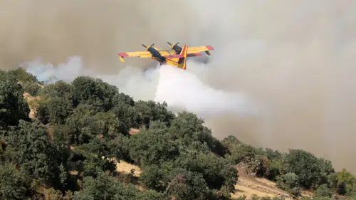 Yangınlarla Mücadelede Türkiye’nin Gücü Açıklandı! Kaç Uçak, Kaç Helikopter Var?