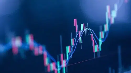 Özsermaye Kârlılığı Belli Oldu: 2025’in İlk Yarısında Zirveye Çıkan Şirketler