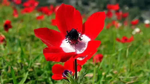 3. cemre düşme tarihi 2026! Üçüncü cemre ne zaman düşecek, toprağa ne zaman düşer?