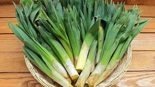 Körmen otu Nedir, Nasıl Pişirilir?