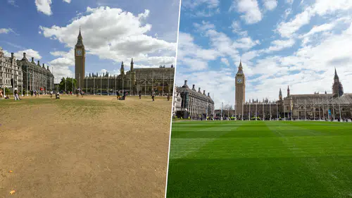 Londra simge meydanlarında kuraklık kaynaklı renk değişimi yaşanıyor