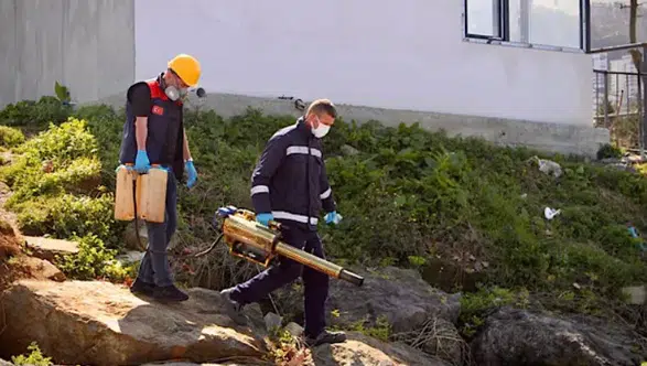 Giresun'da Zararlılarla Mücadele İçin İlaçlama Faaliyetleri Başladı