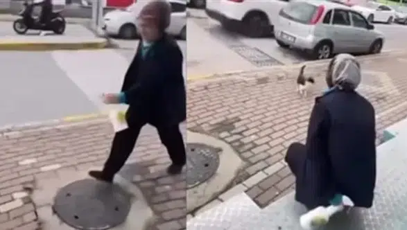 Vicdansızlığın böylesi: Market çalışanı savunmasız kediyi hedef aldı