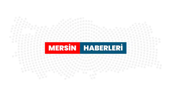 Mersin'deki 6 canilikte korkunç detaylar: Muhtar, dehşet anlarını anlattı