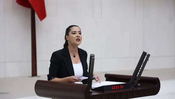 Milletvekili Karaca yargıdaki çelişkilere dikkat çekti