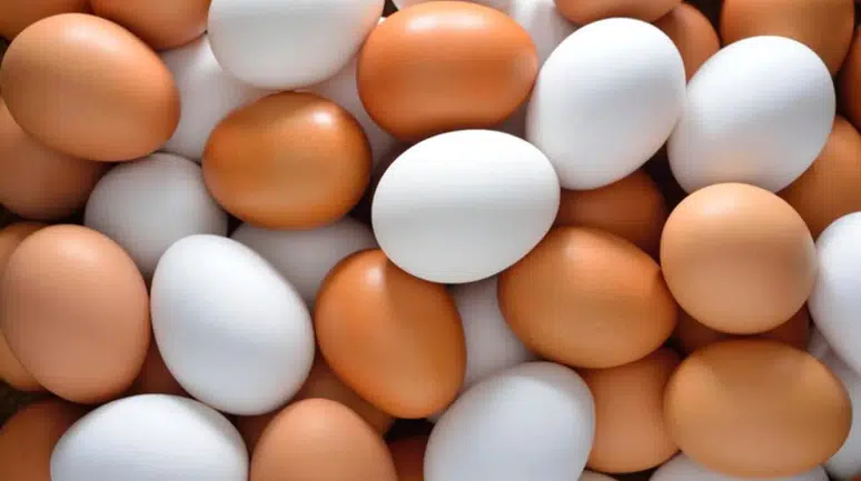 Yumurta Alırken Artık Çok Dikkat! O Tarih Değişti, Süre Uzadı